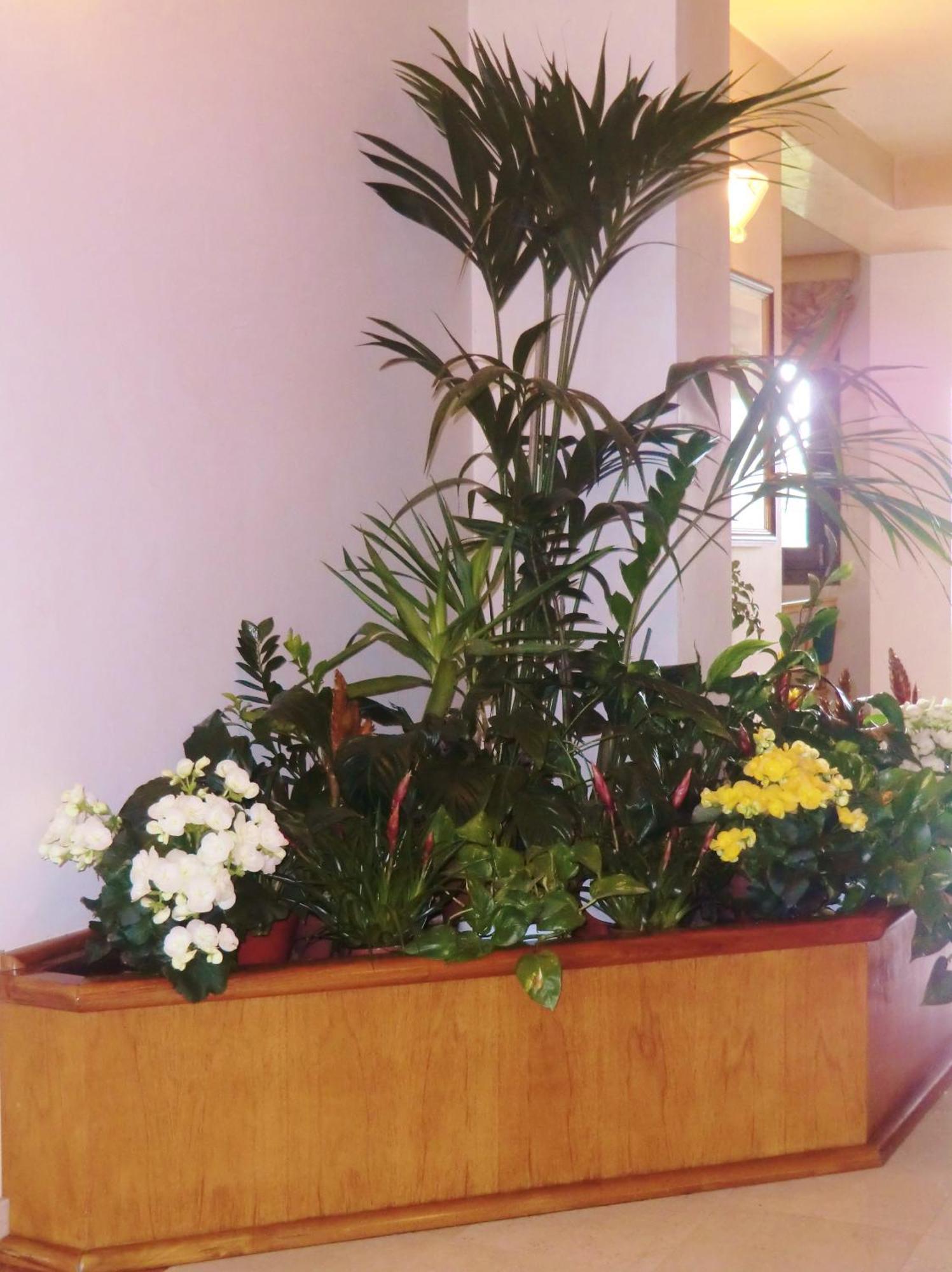 Hotel Luna Vigonovo  Eksteriør billede